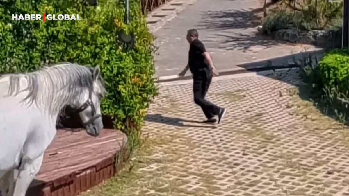 Klip çekiminde atın altında kalmaktan son anda saniyelerle kurtuldu, "şimdi ünlü oldum işte"