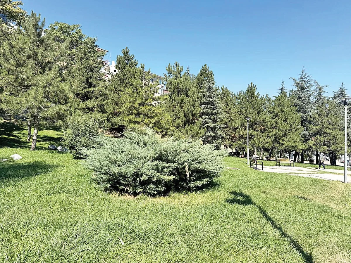 Ankara'da Gökçek Ailesi İçin Yapılan Hülya Parkı Nedir?