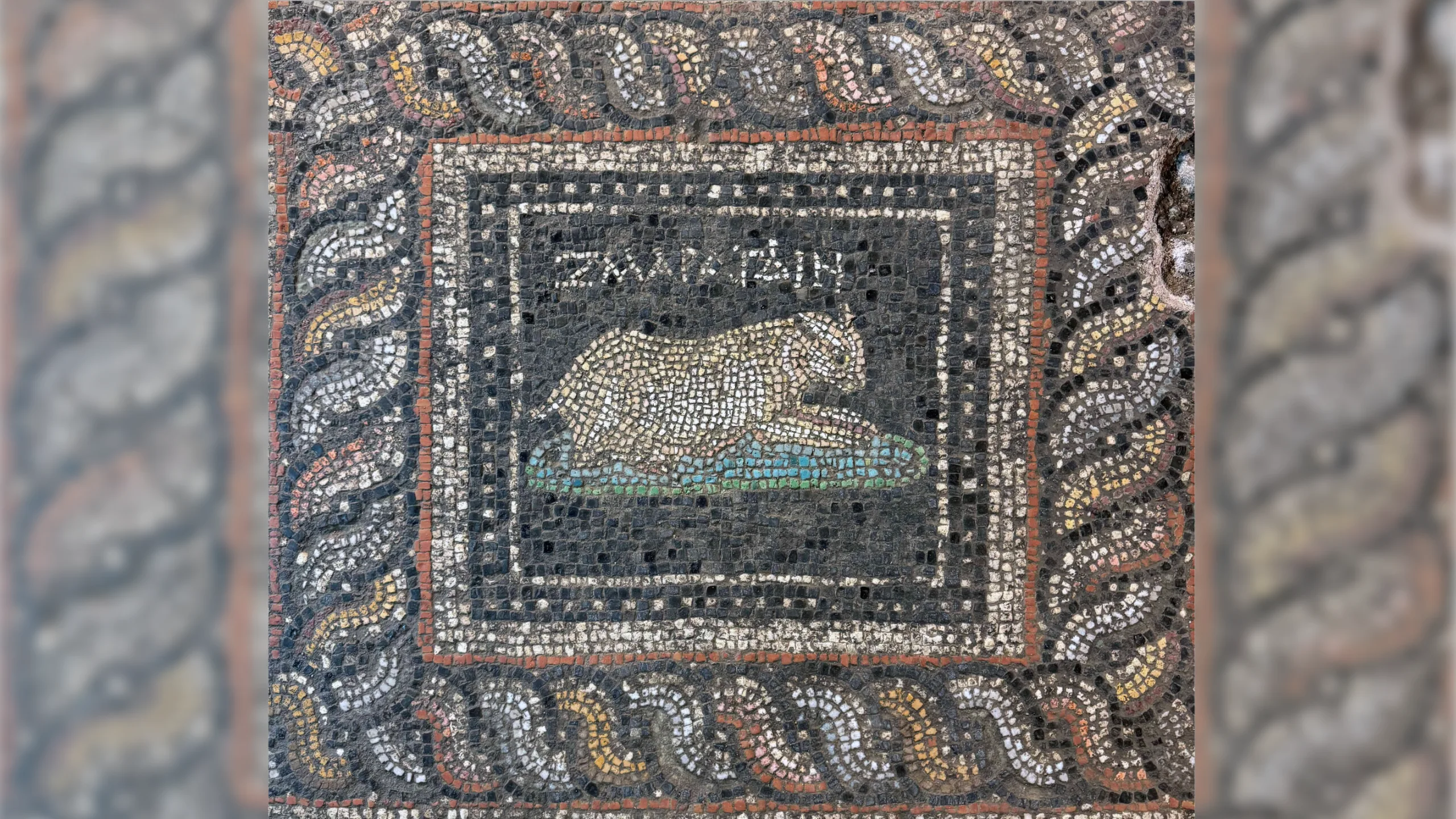 a panel from a multicolored Roman floor mosaic depicting a cat named Emerald