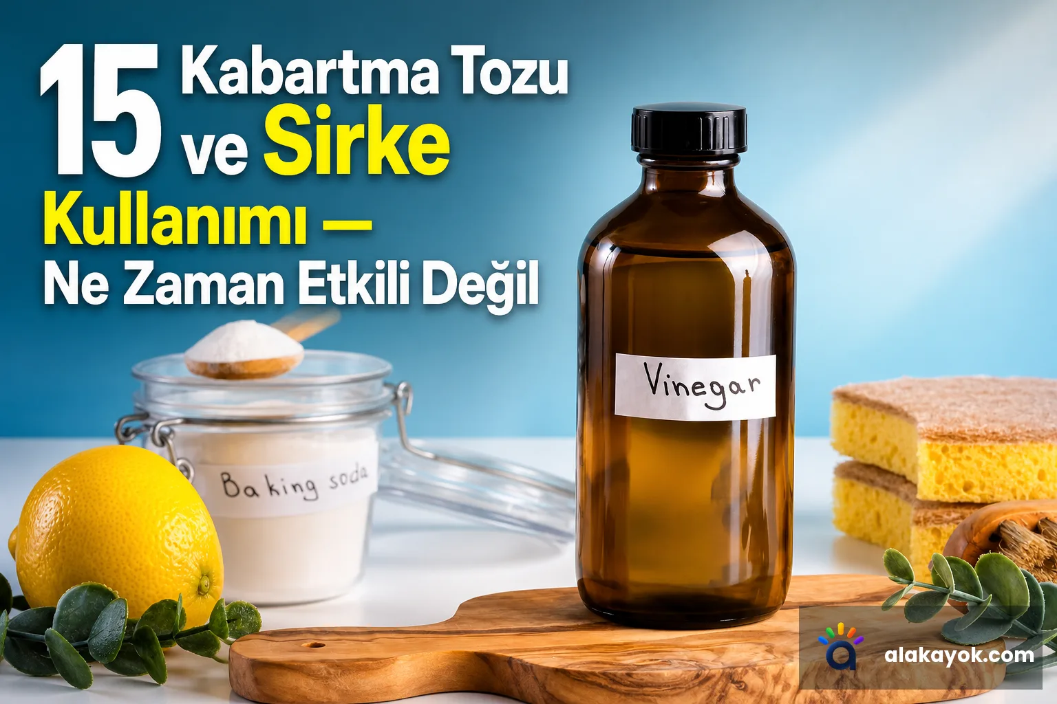 15 Kabartma Tozu ve Sirke Kullanımı — Ne Zaman Etkili Değil