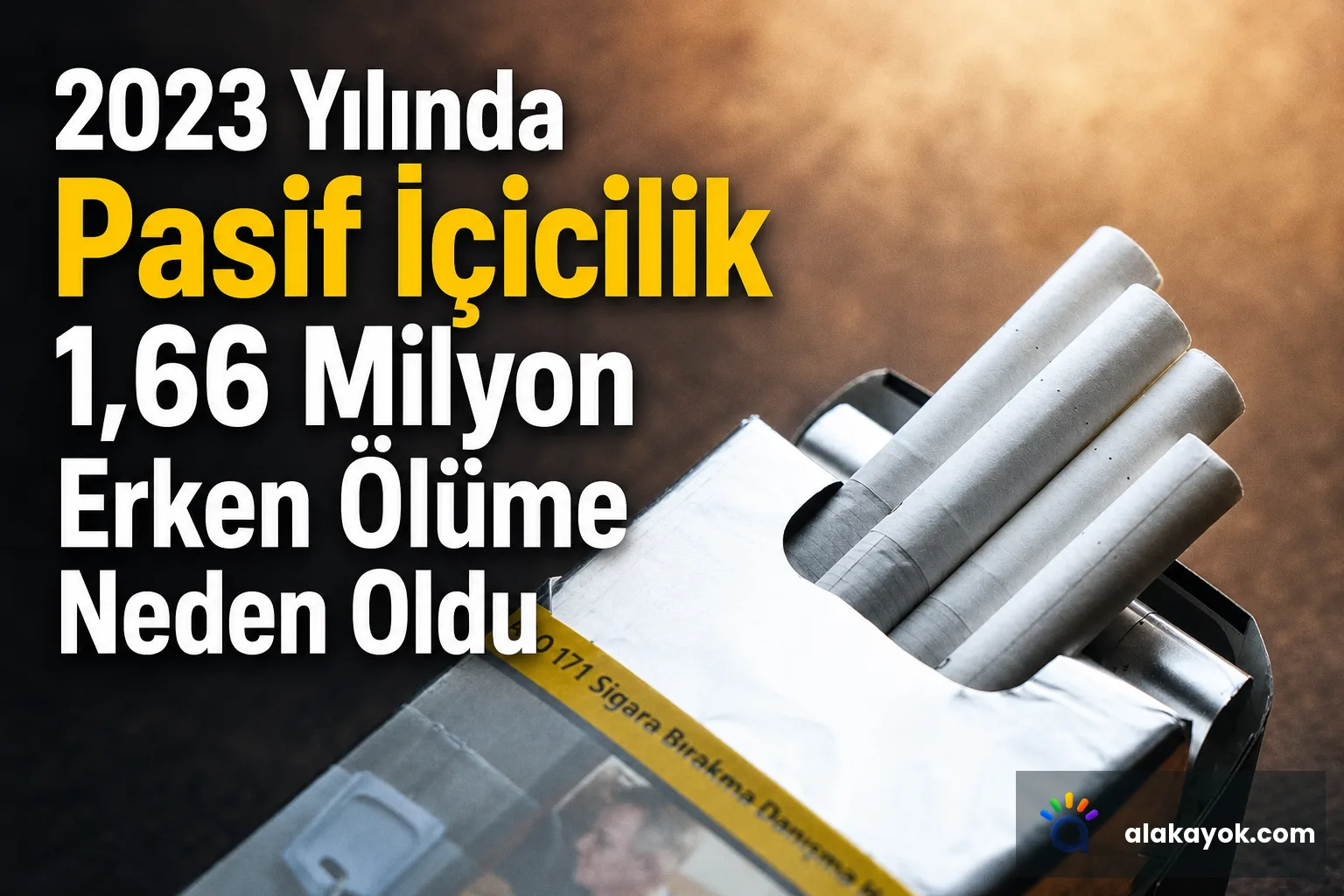 2023 Yılında Pasif İçicilik 1,66 Milyon Erken Ölüme Neden Oldu