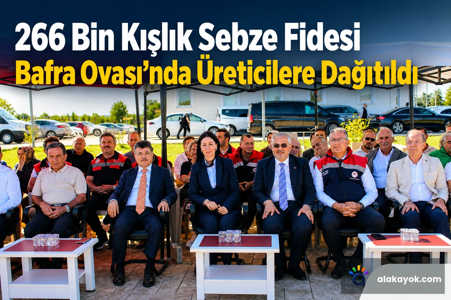 266 Bin Kışlık Sebze Fidesi Bafra Ovası'nda Üreticilere Dağıtıldı