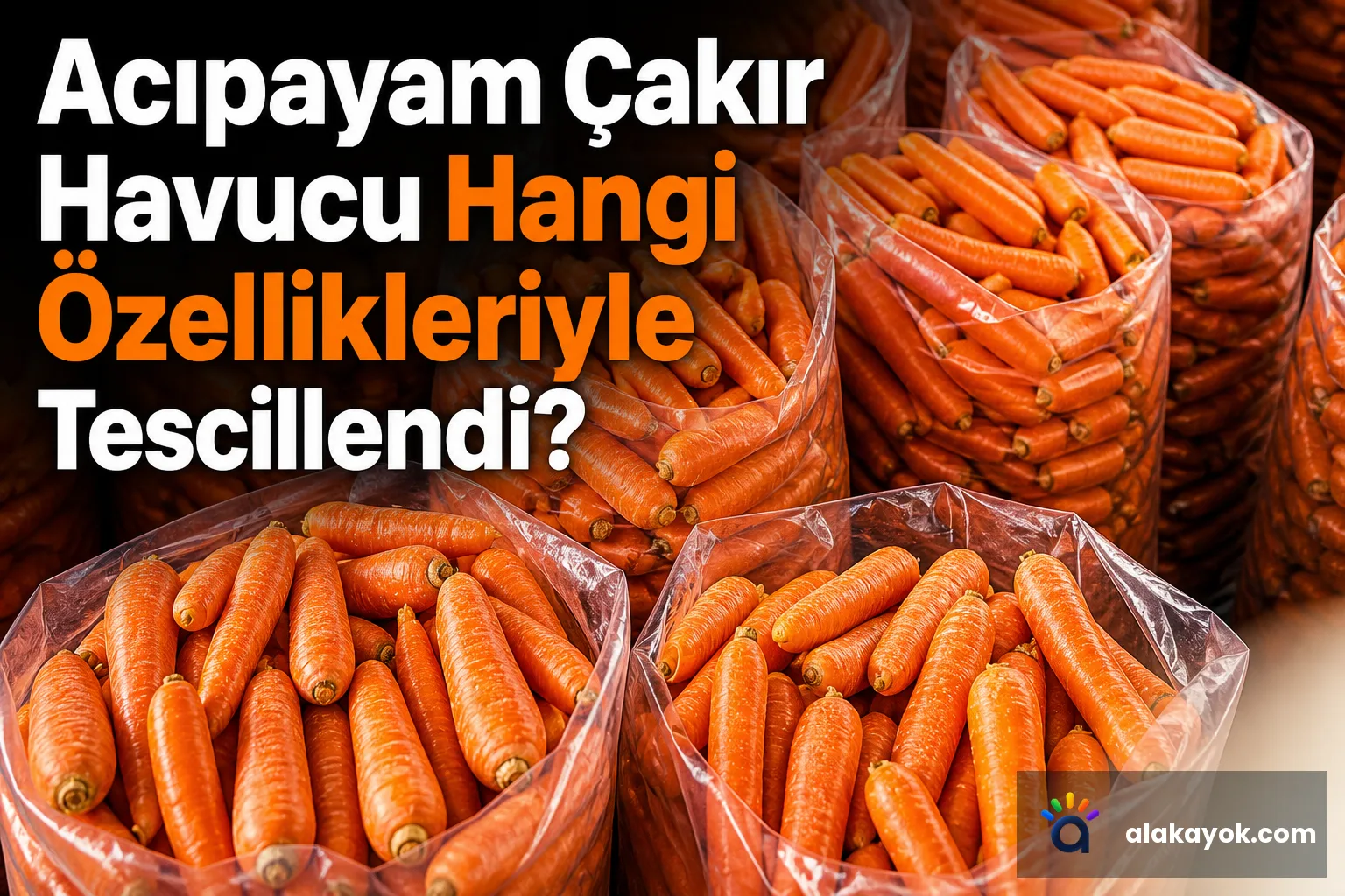 Acıpayam Çakır Havucu Hangi Özellikleriyle Tescillendi?