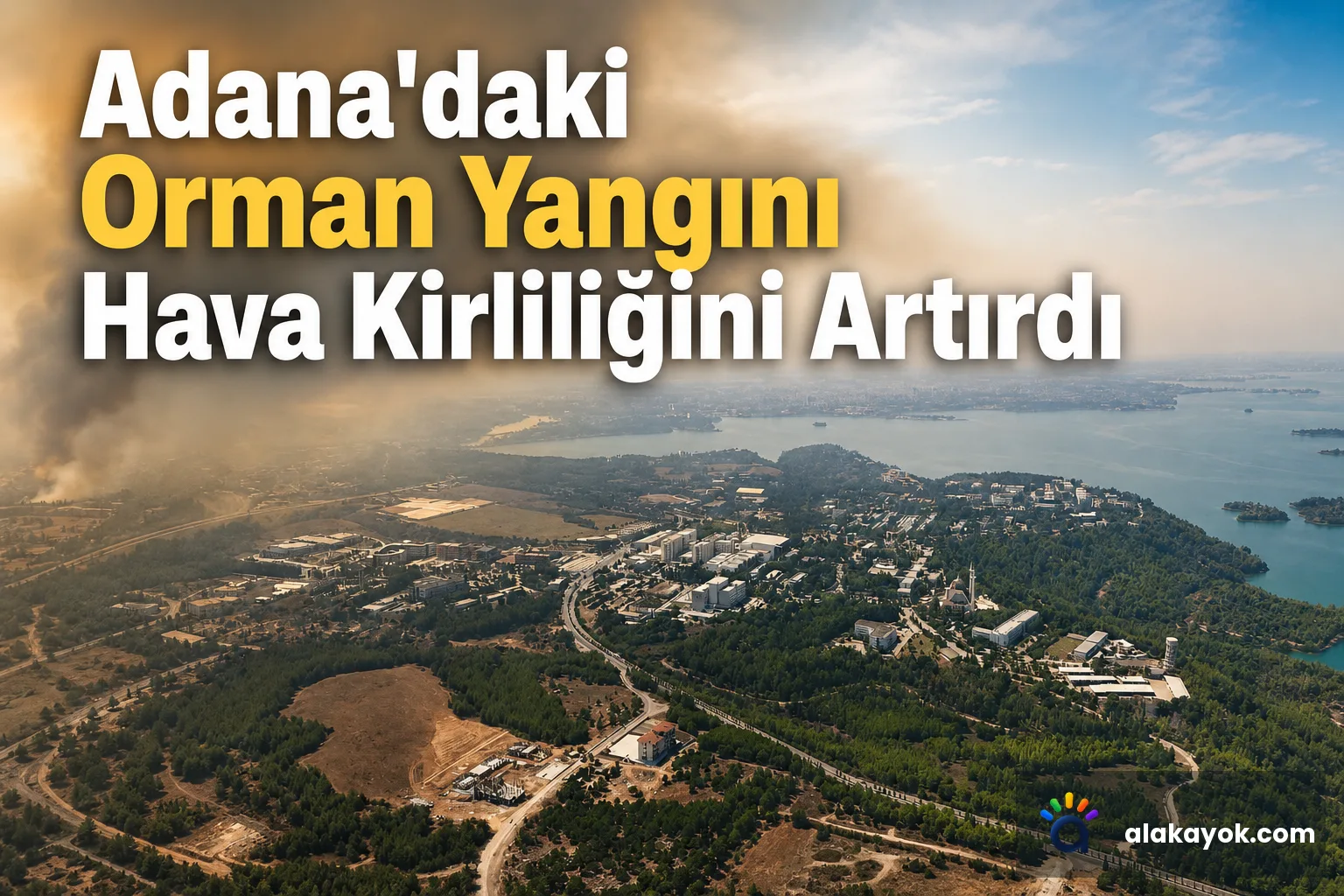 Adana'daki Orman Yangını Hava Kirliliğini Artırdı