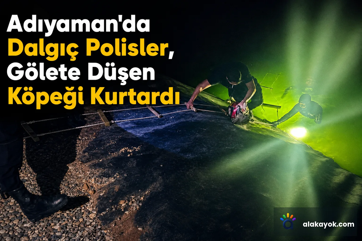 Adıyaman'da Dalgıç Polisler, Gölete Düşen Köpeği Kurtardı