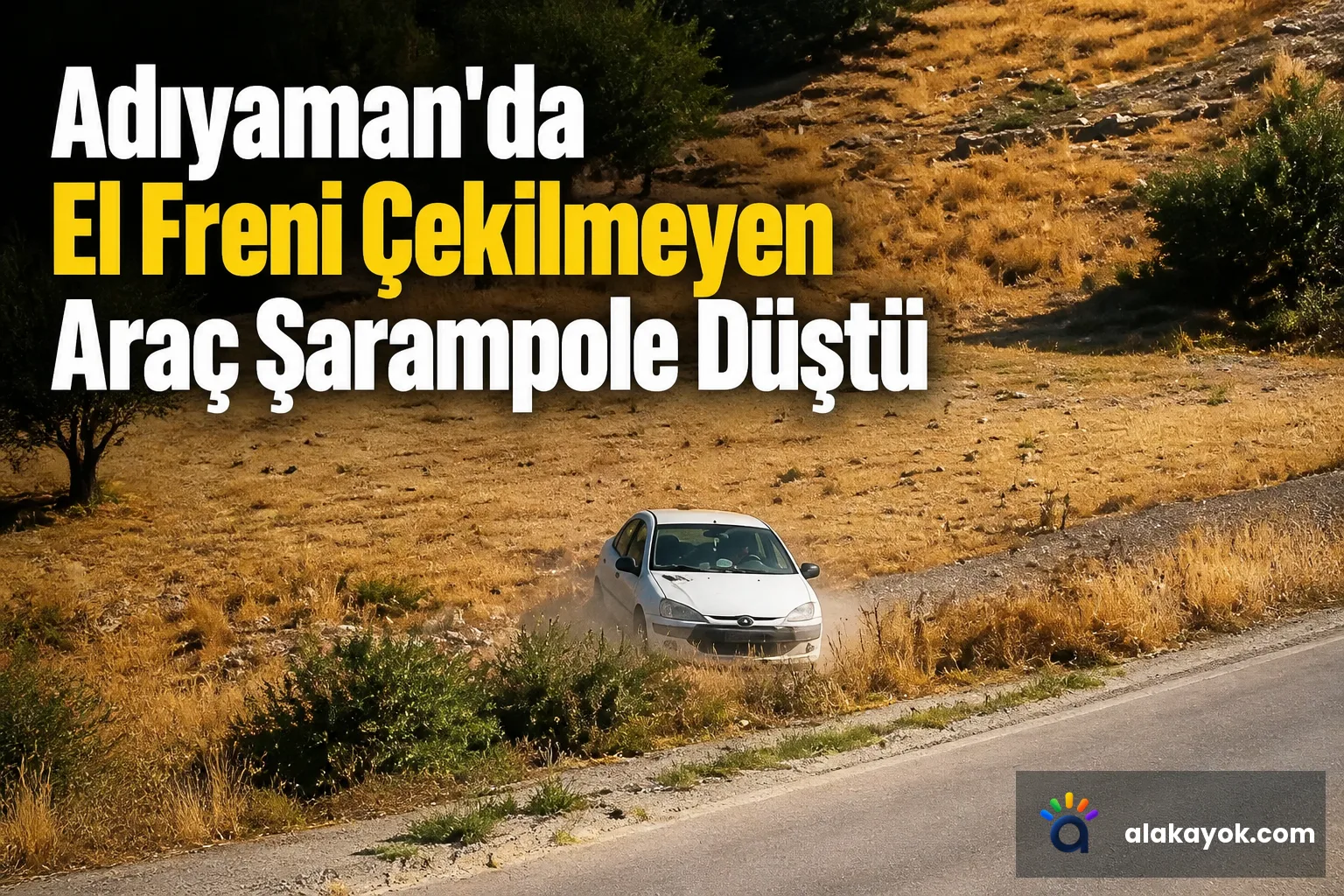 Adıyaman'da El Freni Çekilmeyen Araç Şarampole Düştü
