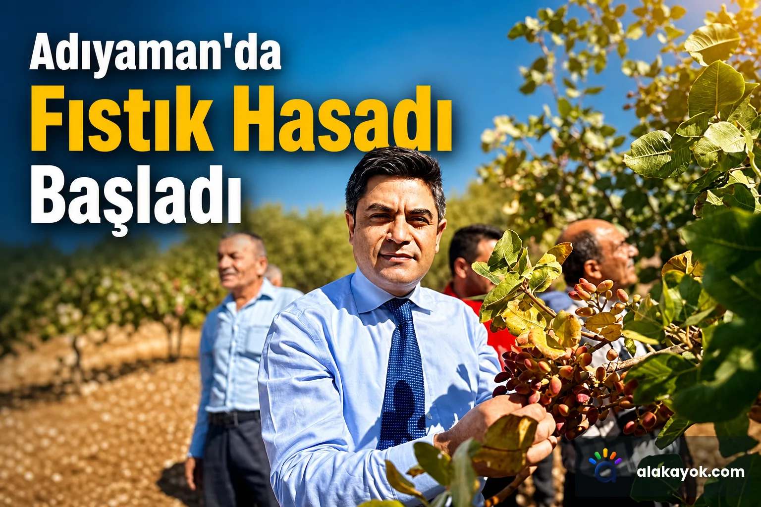 Adıyaman'da Fıstık Hasadı Başladı