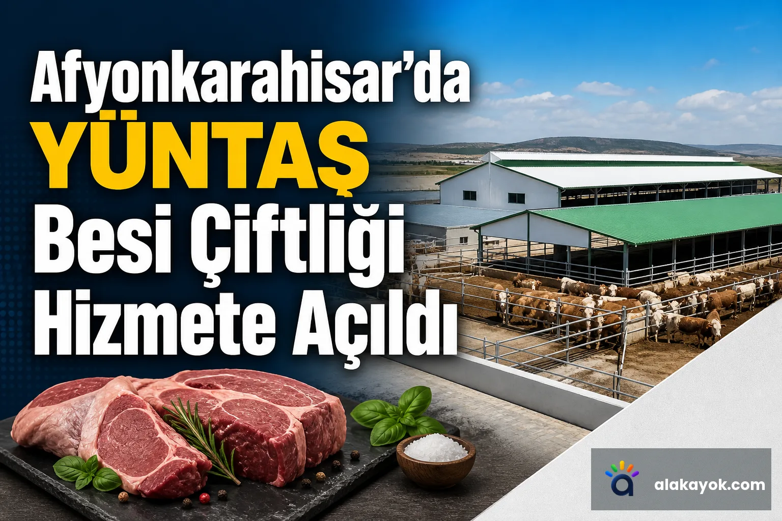 Afyonkarahisar'da YÜNTAŞ Besi Çiftliği Hizmete Açıldı