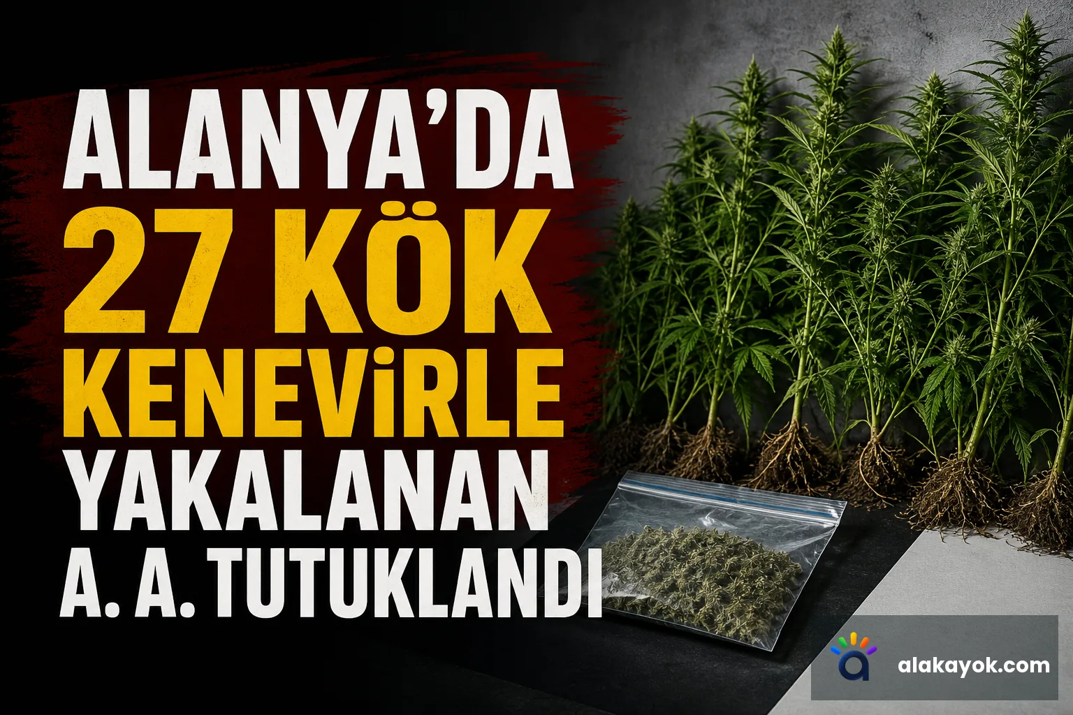 Alanya'da 27 Kök Kenevirle Yakalanan A. A. Tutuklandı