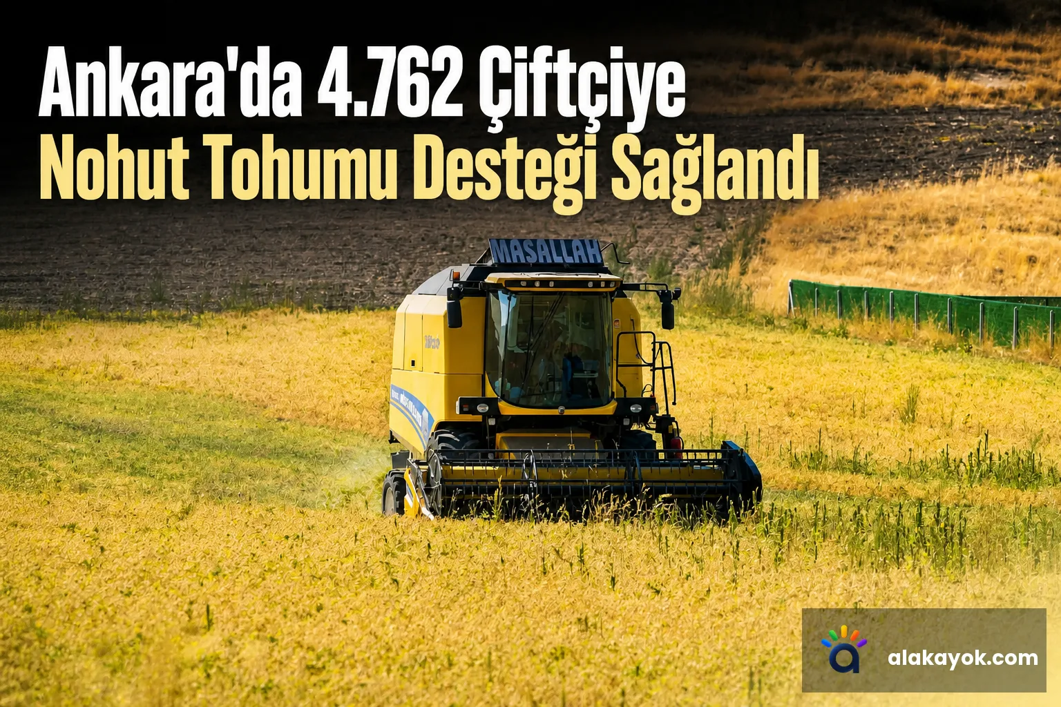 Ankara'da 4.762 Çiftçiye Nohut Tohumu Desteği Sağlandı
