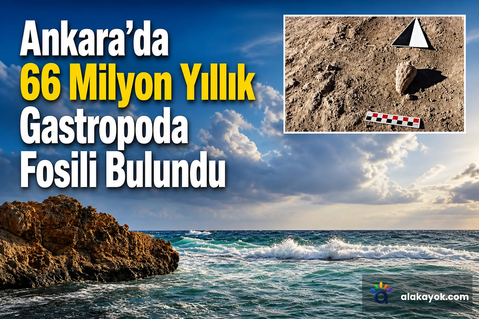 Ankara'da 66 Milyon Yıllık Gastropoda Fosili Bulundu