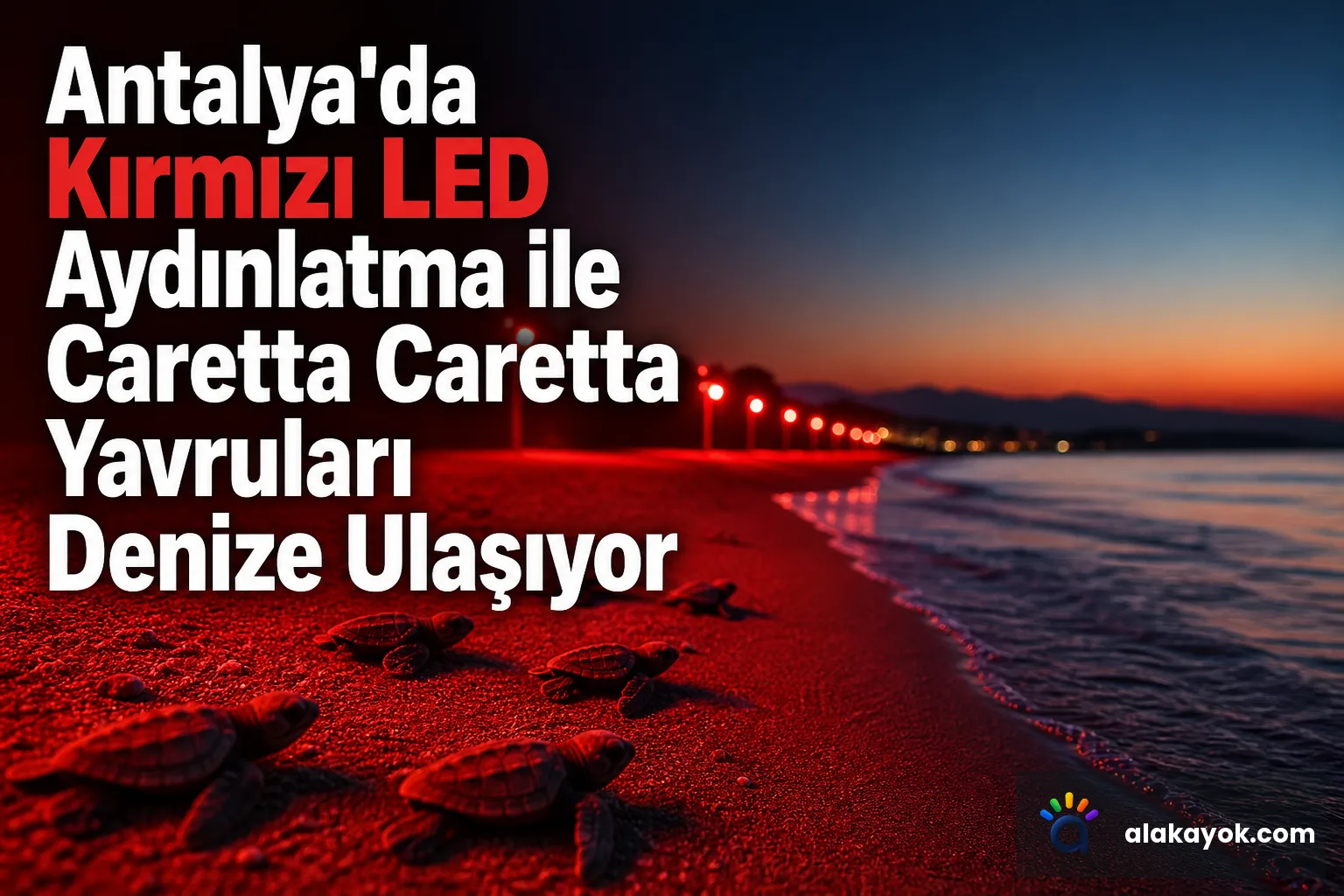 Antalya'da Kırmızı LED Aydınlatma ile Caretta Caretta Yavruları Denize Ulaşıyor