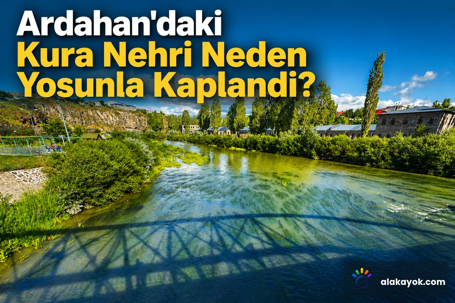 Ardahan'daki Kura Nehri Neden Yosunla Kaplandı?