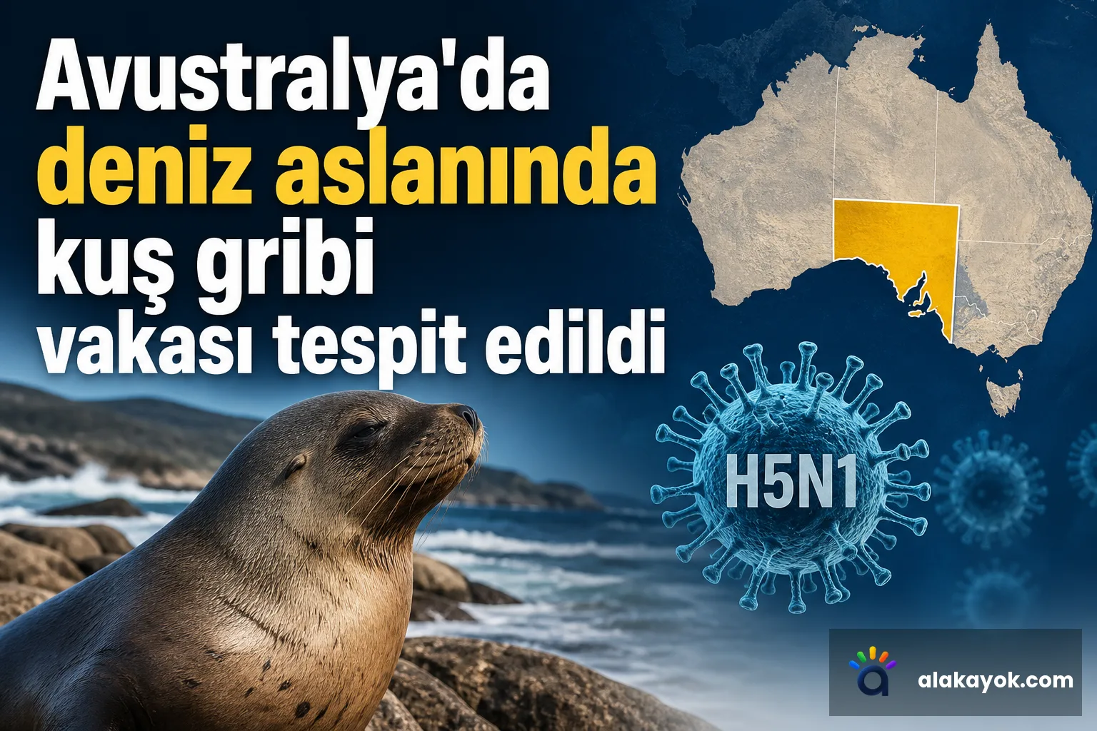 Avustralya'da deniz aslanında kuş gribi vakası tespit edildi