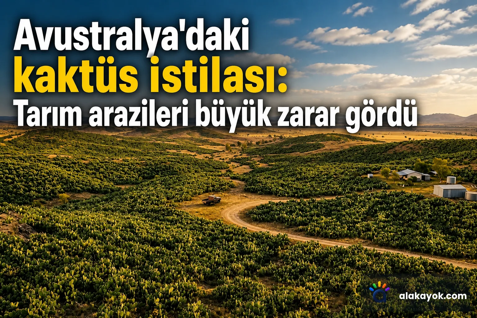 Avustralya'daki kaktüs istilası: Tarım arazileri büyük zarar gördü