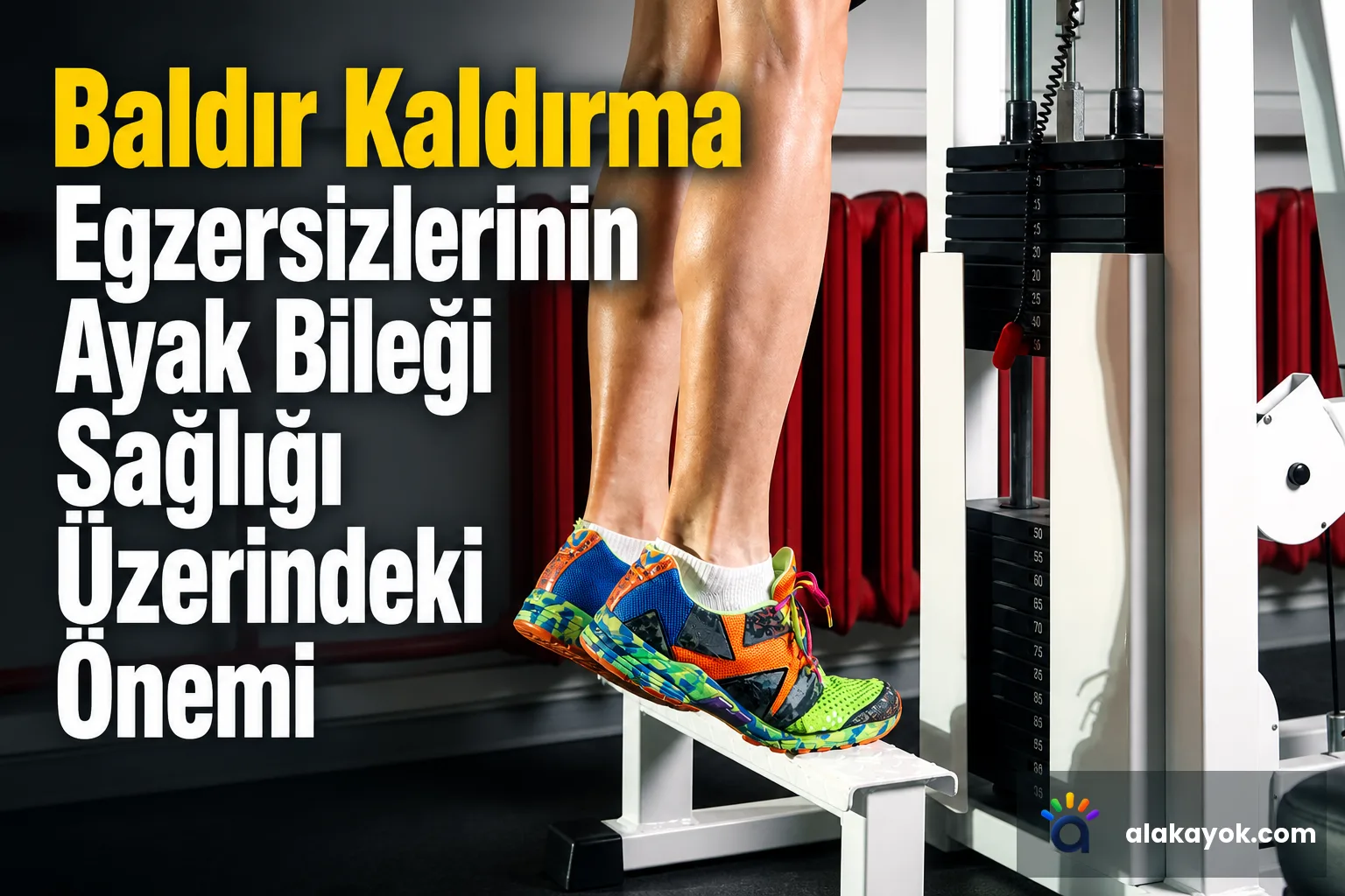 Baldır Kaldırma Egzersizlerinin Ayak Bileği Sağlığı Üzerindeki Önemi