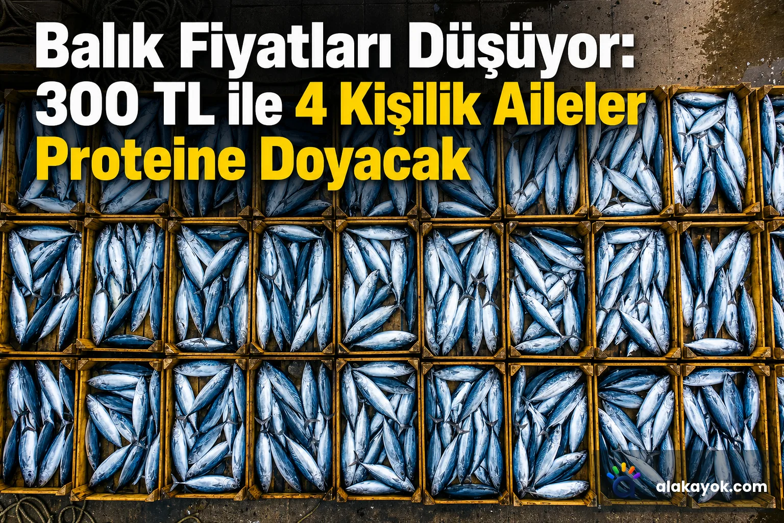 Balık Fiyatları Düşüyor: 300 TL ile 4 Kişilik Aileler Proteine Doyacak