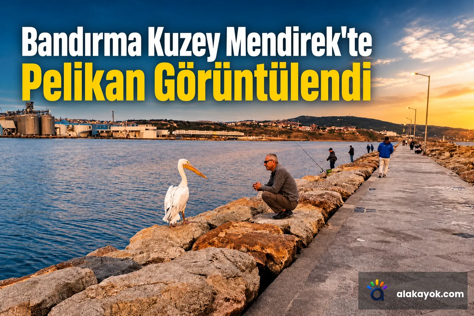 Bandırma Kuzey Mendirek'te Pelikan Görüntülendi