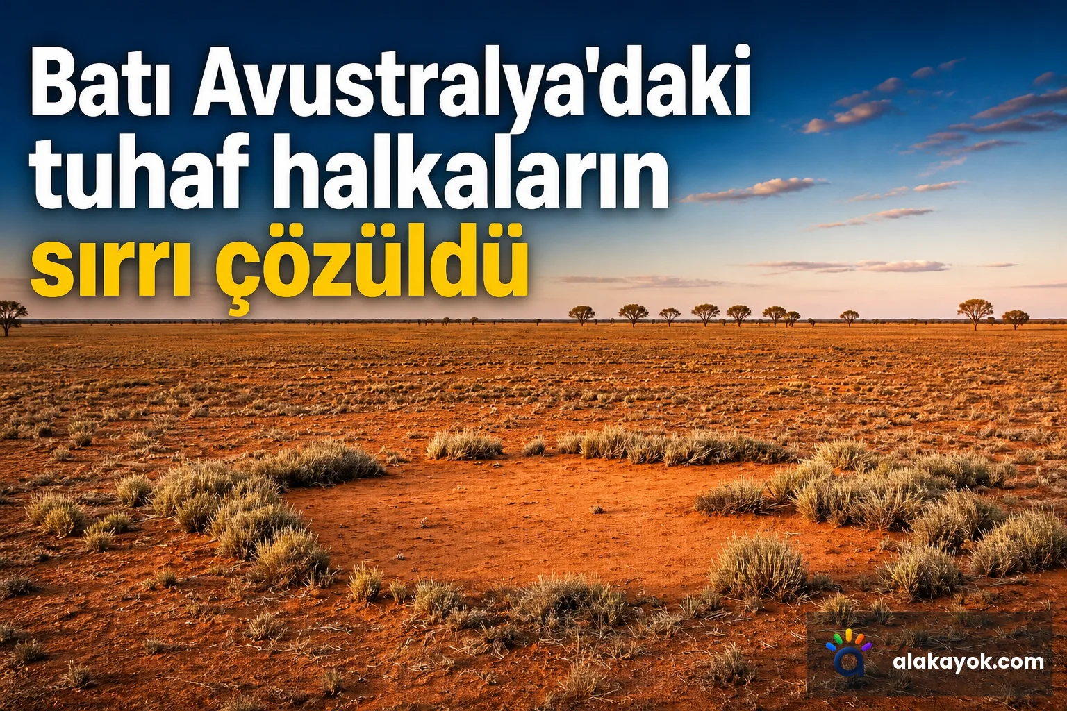 Batı Avustralya'daki tuhaf halkaların sırrı çözüldü