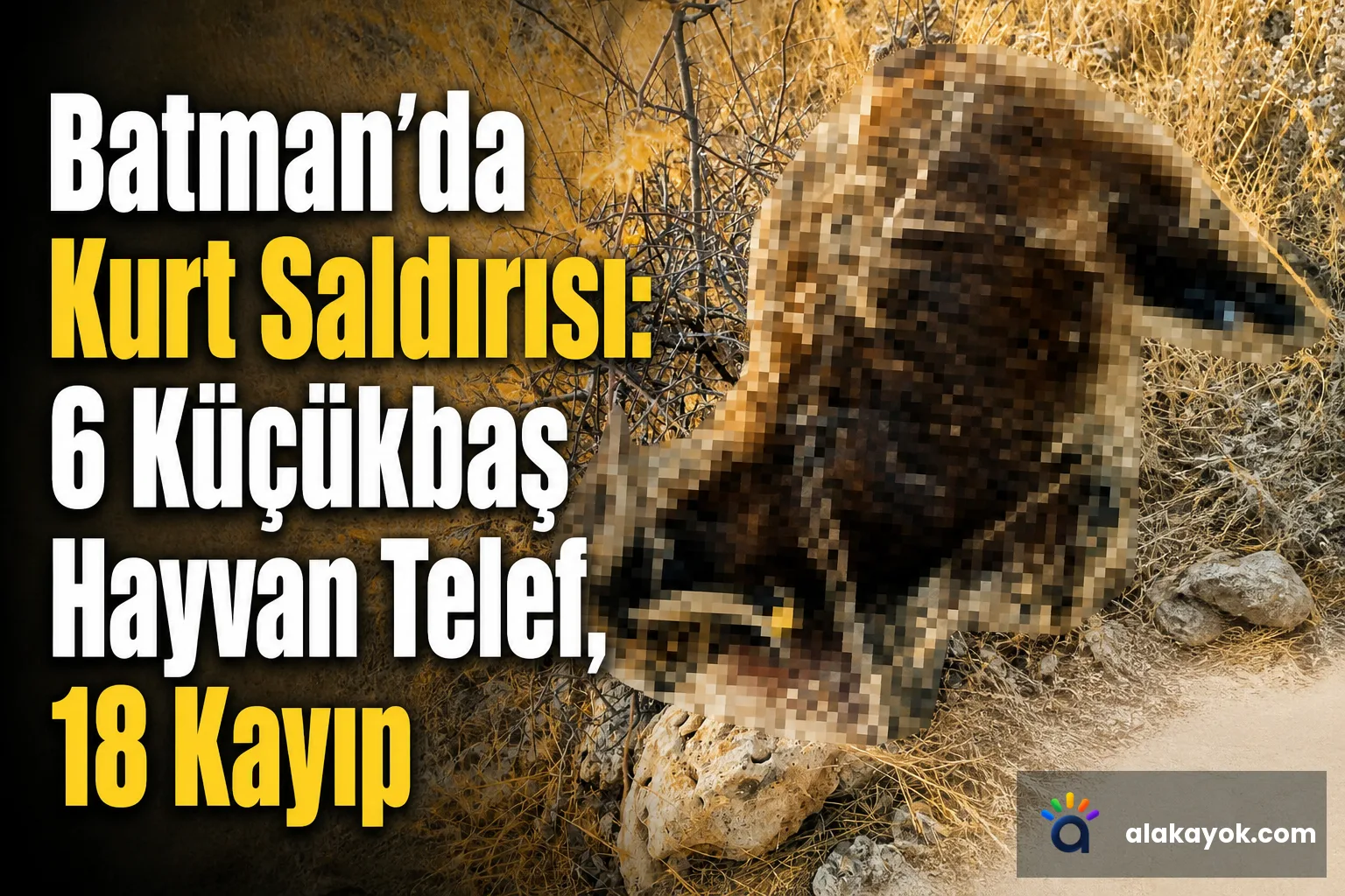 Batman'da Kurt Saldırısı: 6 Küçükbaş Hayvan Telef, 18 Kayıp