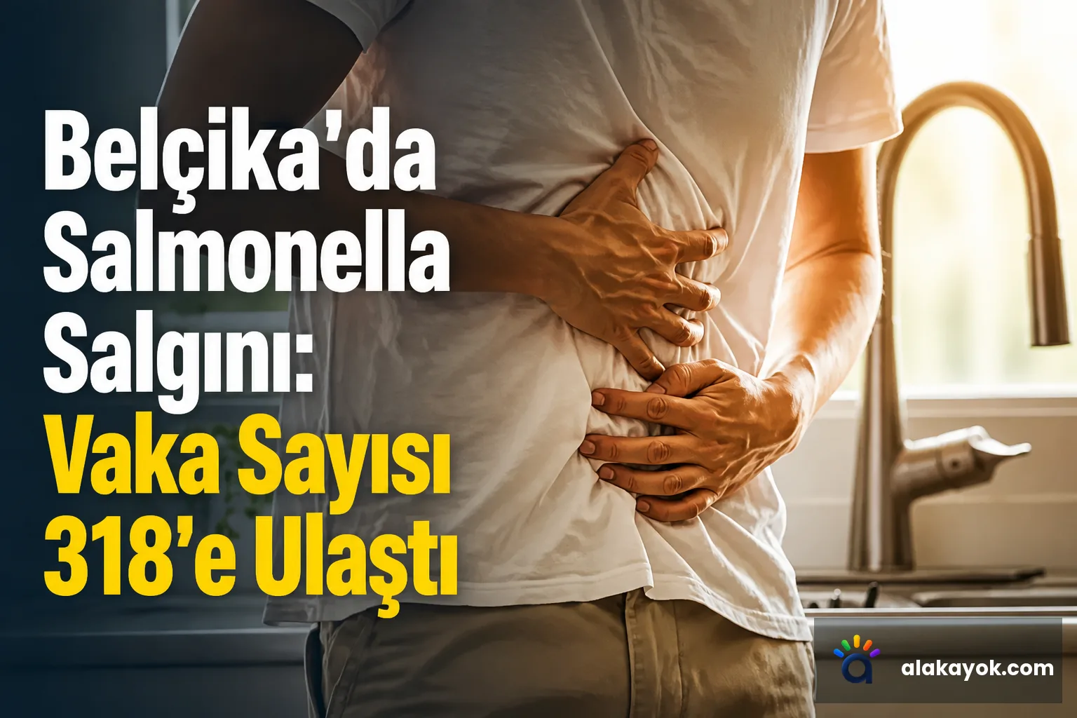 Belçika'da Salmonella Salgını: Vaka Sayısı 318'e Ulaştı