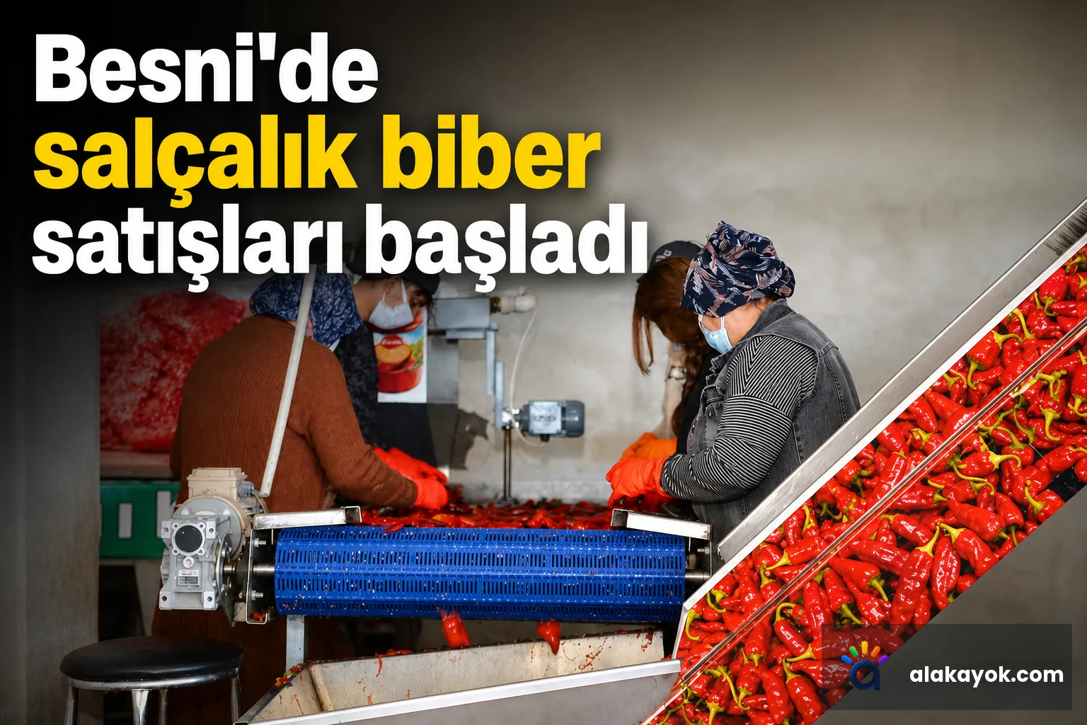 Besni'de salçalık biber satışları başladı