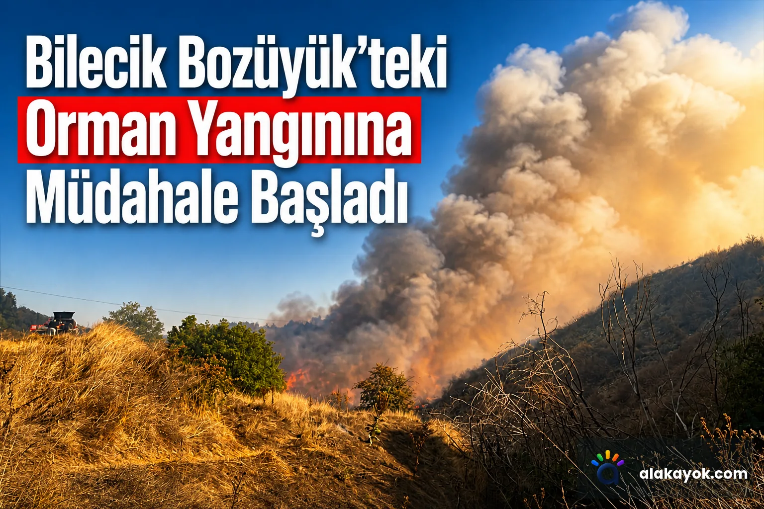 Bilecik Bozüyük'teki Orman Yangınına Müdahale Başladı