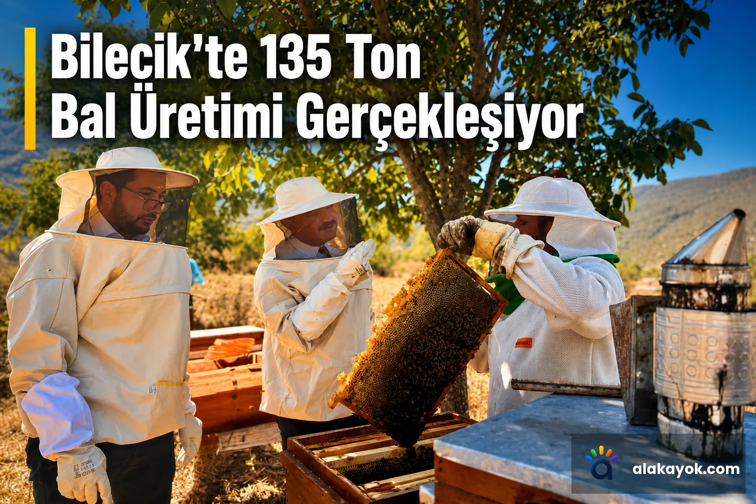 Bilecik'te 135 Ton Bal Üretimi Gerçekleşiyor