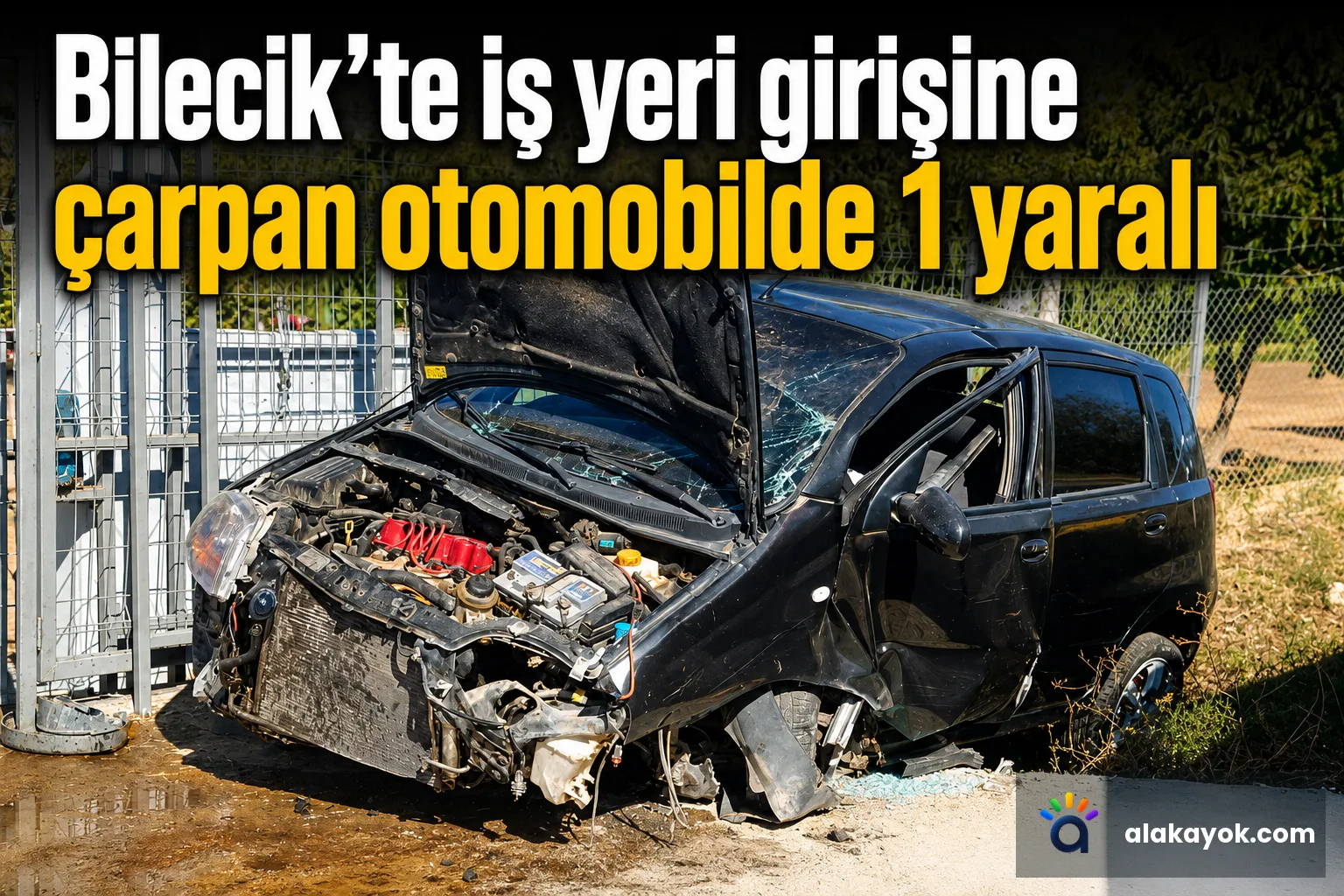 Bilecik'te iş yeri girişine çarpan otomobilde 1 yaralı