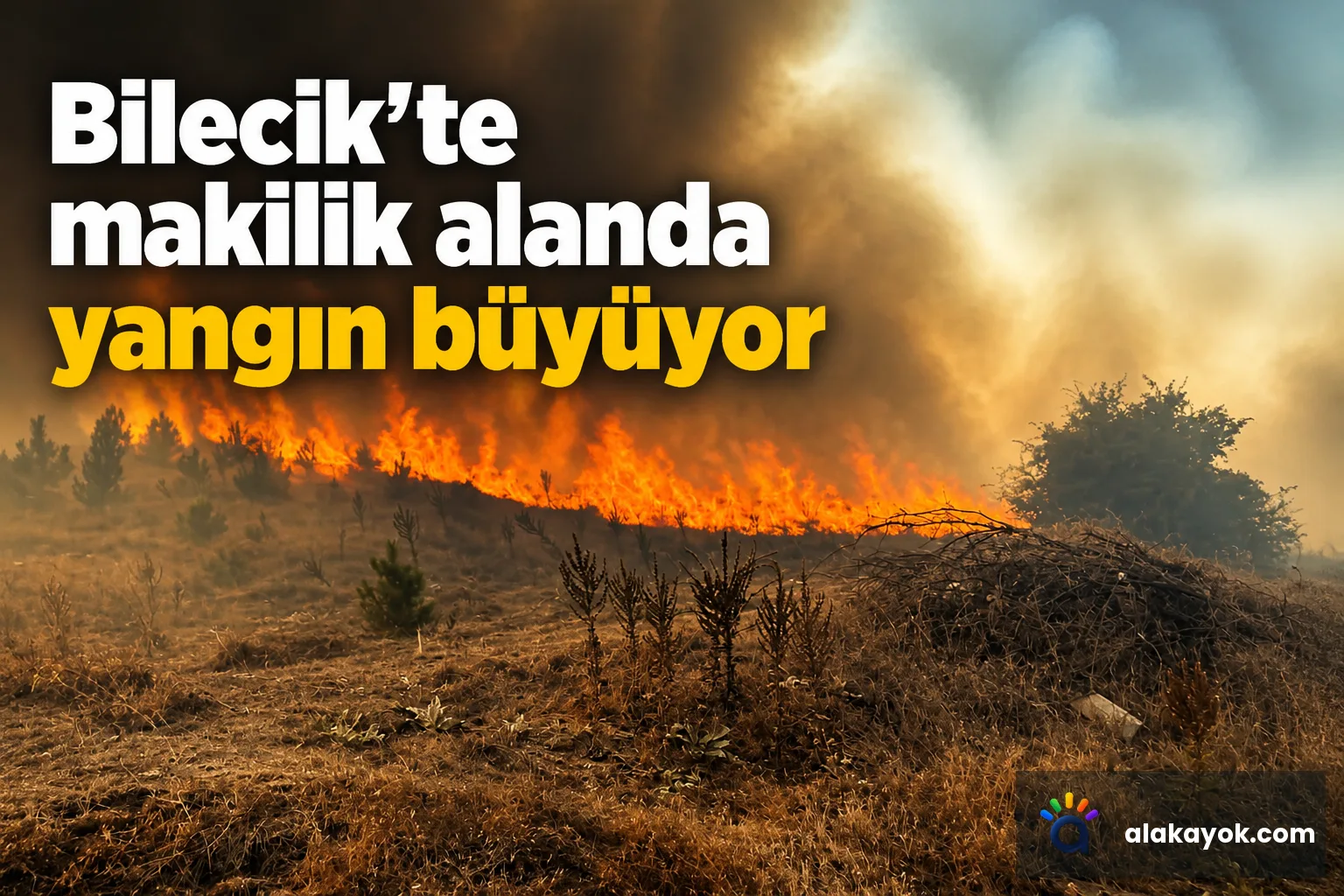 Bilecik'te makilik alanda yangın büyüyor