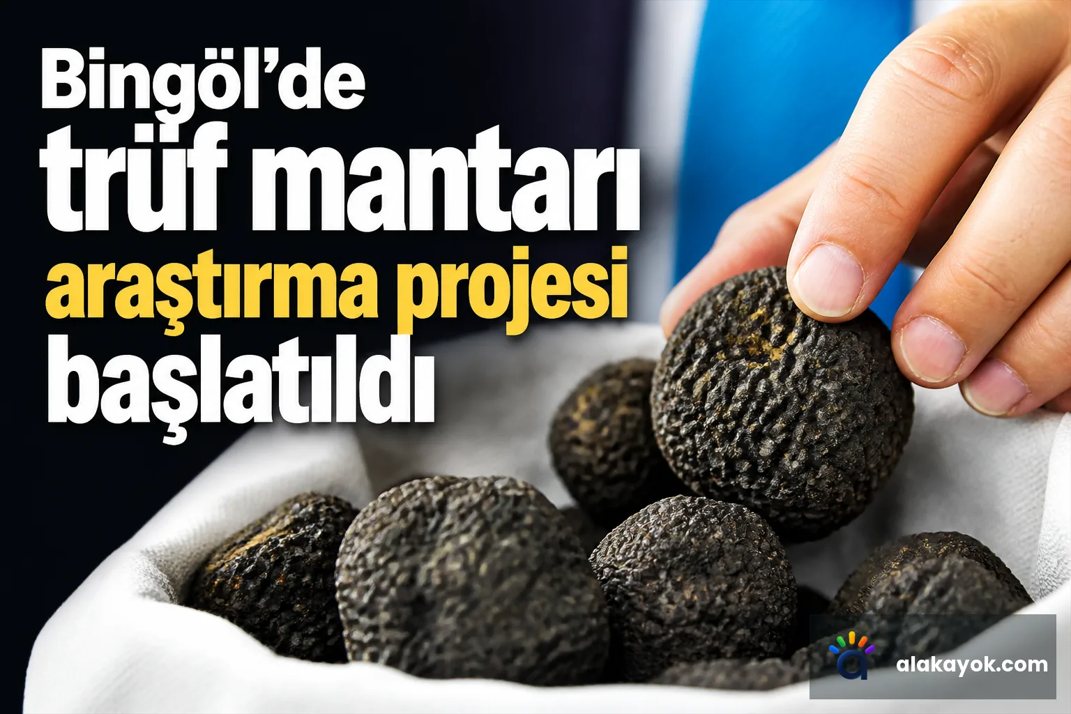 Bingöl'de trüf mantarı araştırma projesi başlatıldı