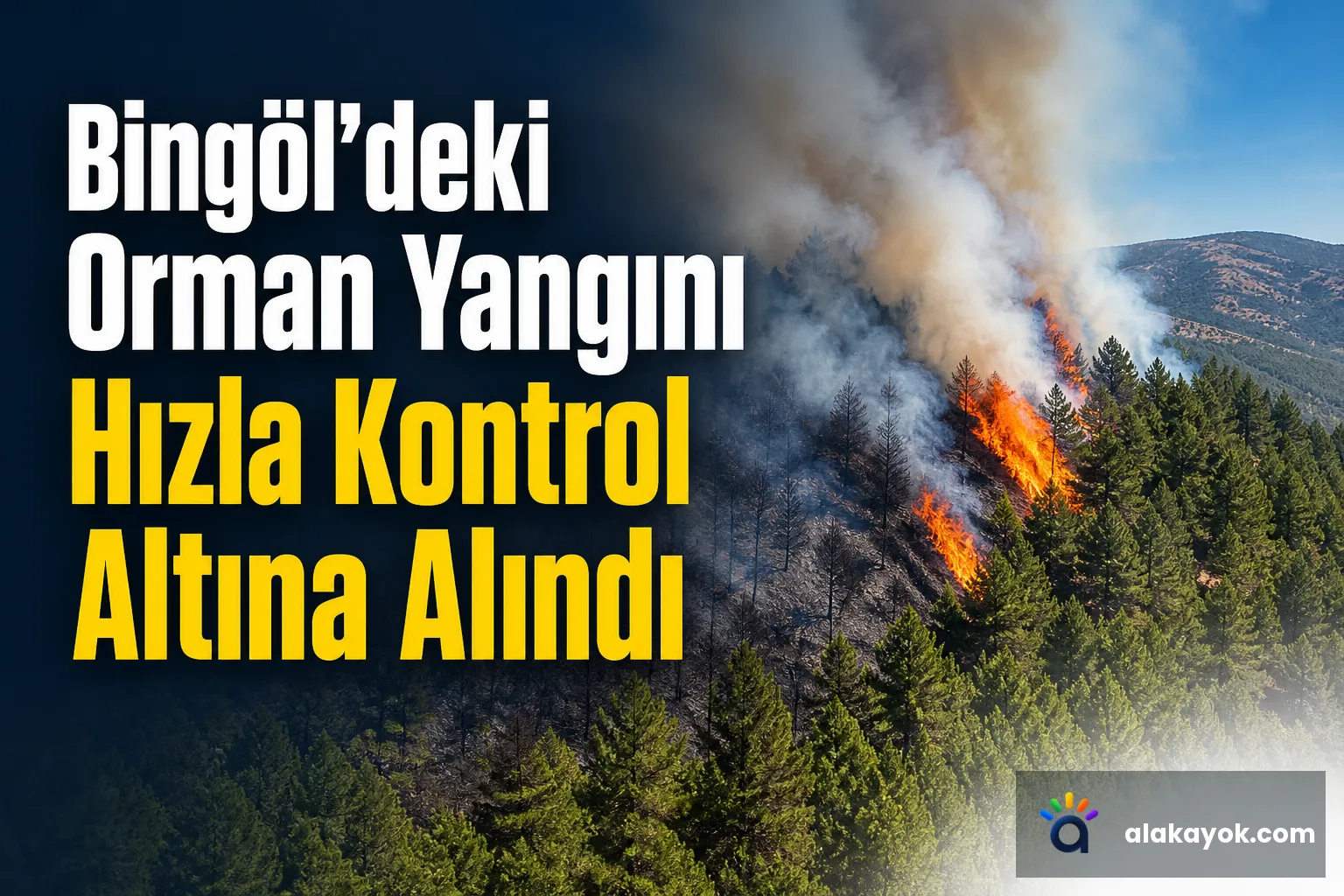 Bingöl'deki Orman Yangını Hızla Kontrol Altına Alındı