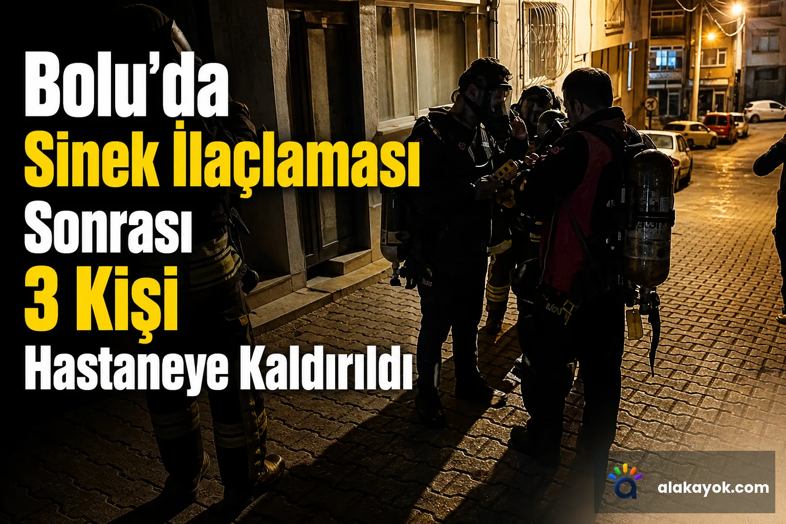Bolu'da Sinek İlaçlaması Sonrası 3 Kişi Hastaneye Kaldırıldı