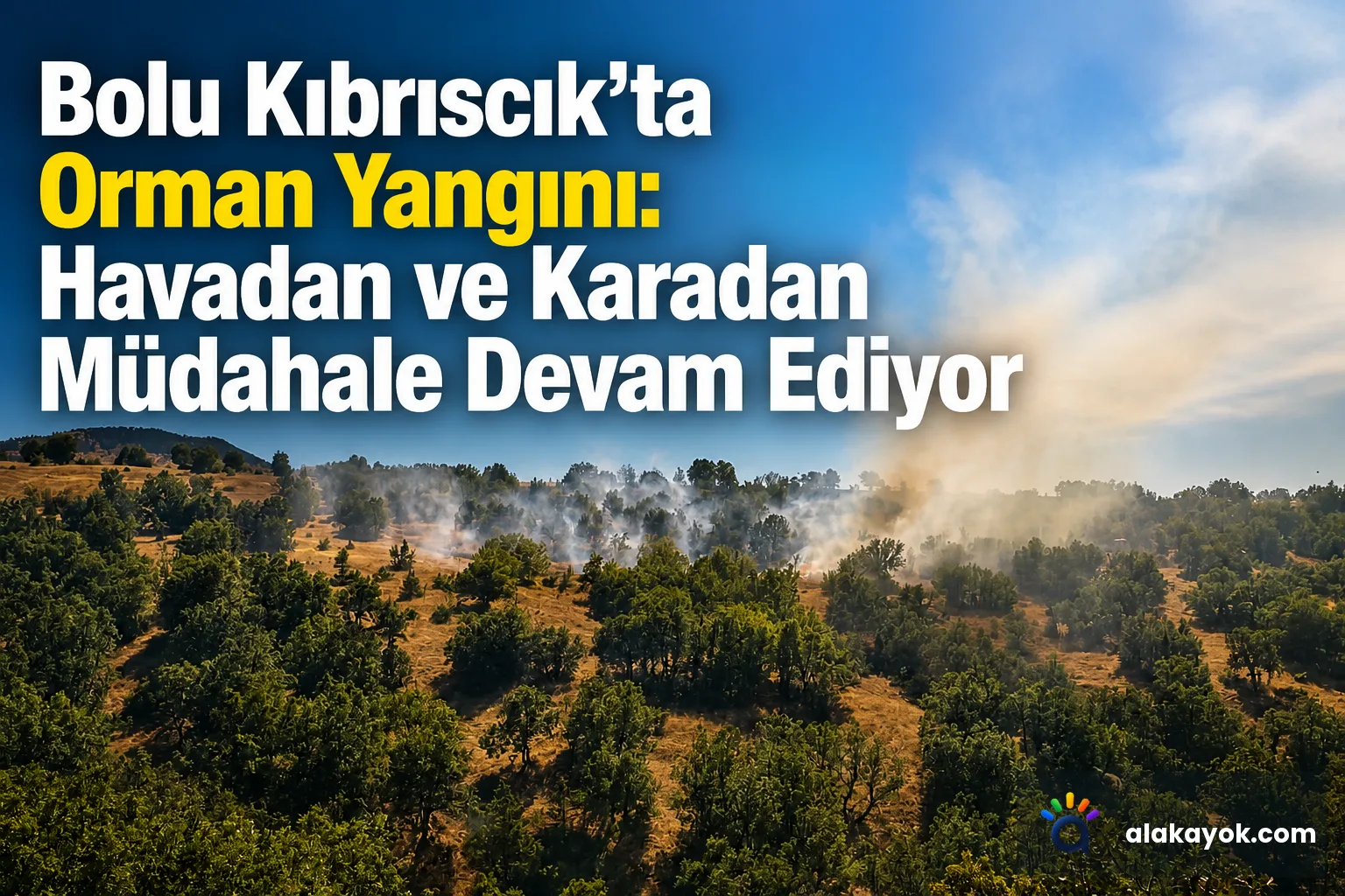 Bolu Kıbrıscık'ta Orman Yangını: Havadan ve Karadan Müdahale Devam Ediyor