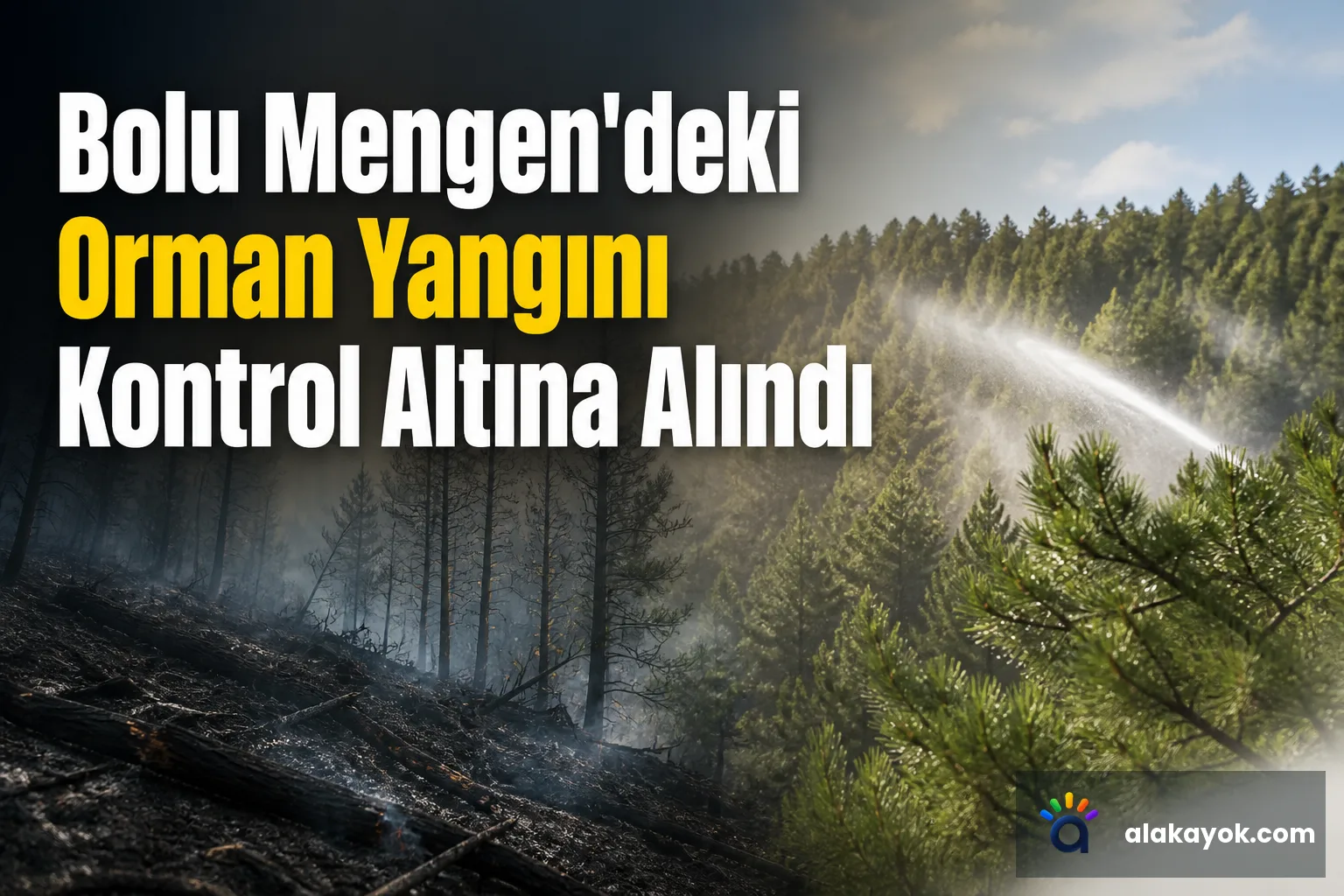 Bolu Mengen'deki Orman Yangını Kontrol Altına Alındı