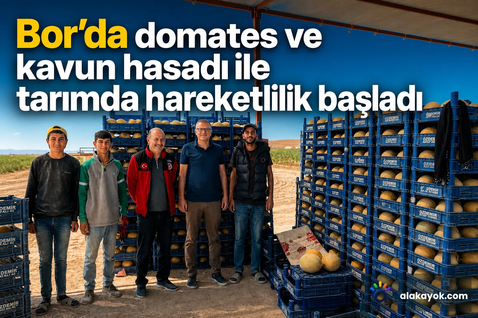 Bor'da domates ve kavun hasadı ile tarımda hareketlilik başladı