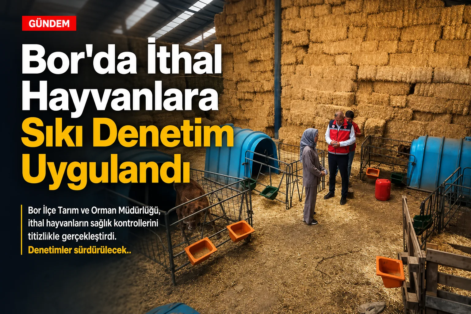 Bor'da İthal Hayvanlara Sıkı Denetim Uygulandı