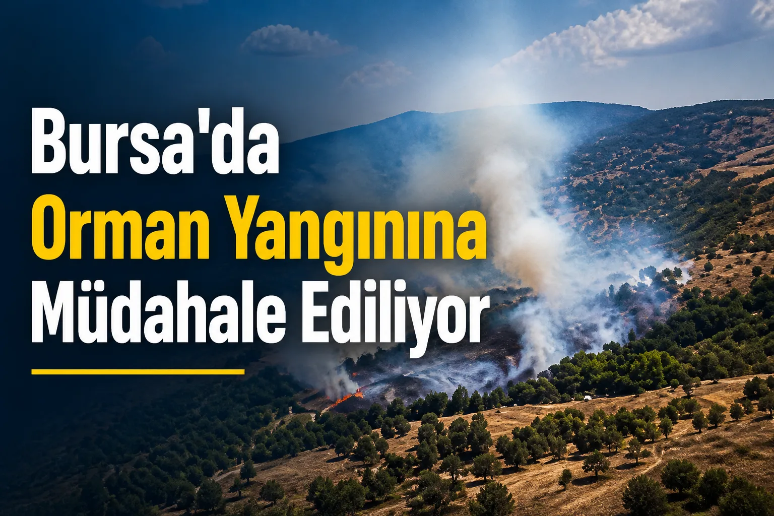Bursa'da Orman Yangınına Müdahale Ediliyor