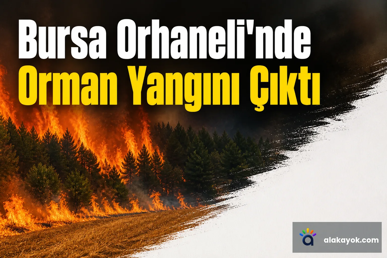 Bursa Orhaneli'nde Orman Yangını Çıktı
