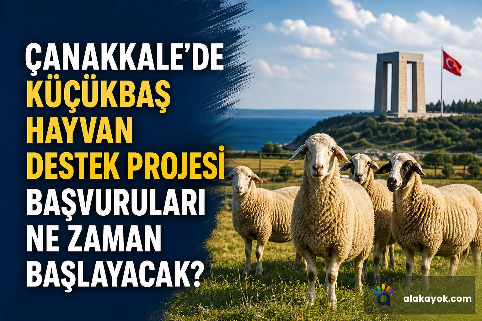 Çanakkale'de Küçükbaş Hayvan Destek Projesi Başvuruları Ne Zaman Başlayacak?