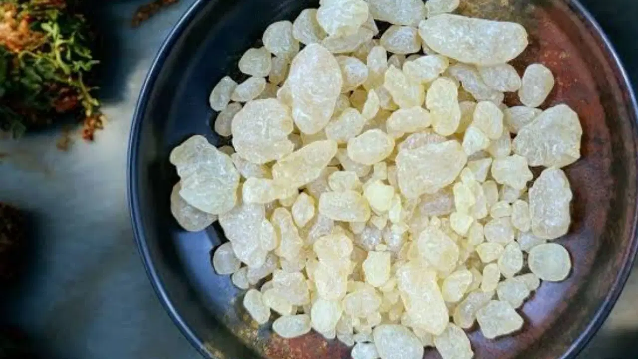 Çeşme Damla Sakızı Uluslararası İlgi Görüyor