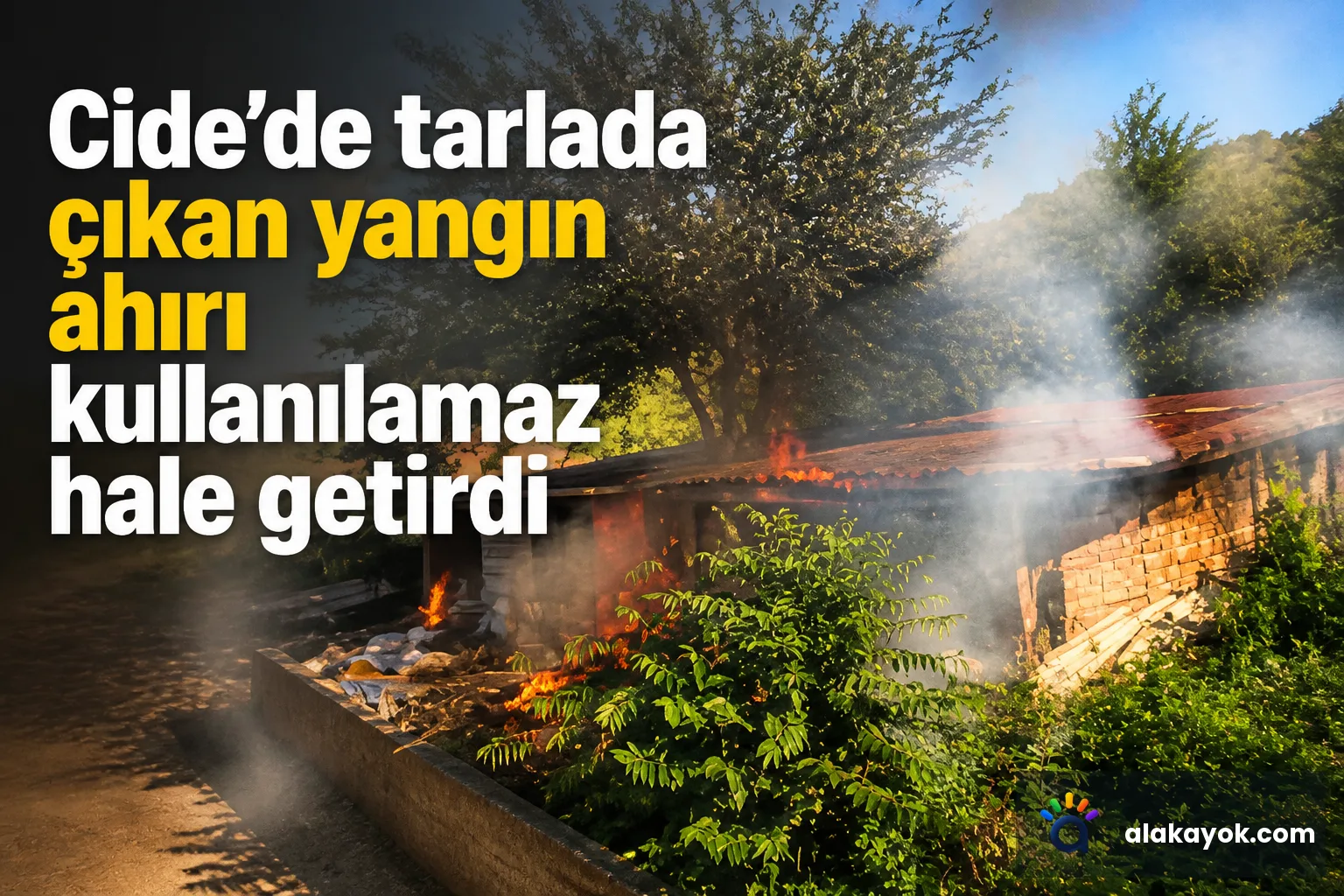 Cide'de tarlada çıkan yangın ahırı kullanılamaz hale getirdi