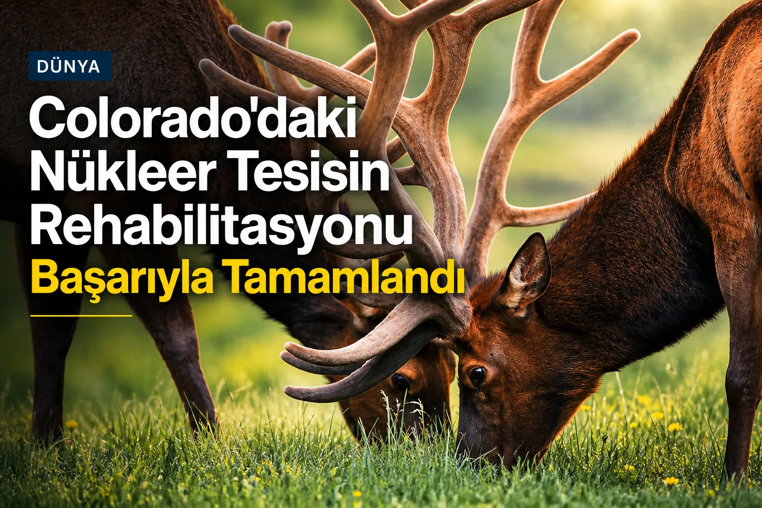 Colorado'daki Nükleer Tesisin Rehabilitasyonu Başarıyla Tamamlandı