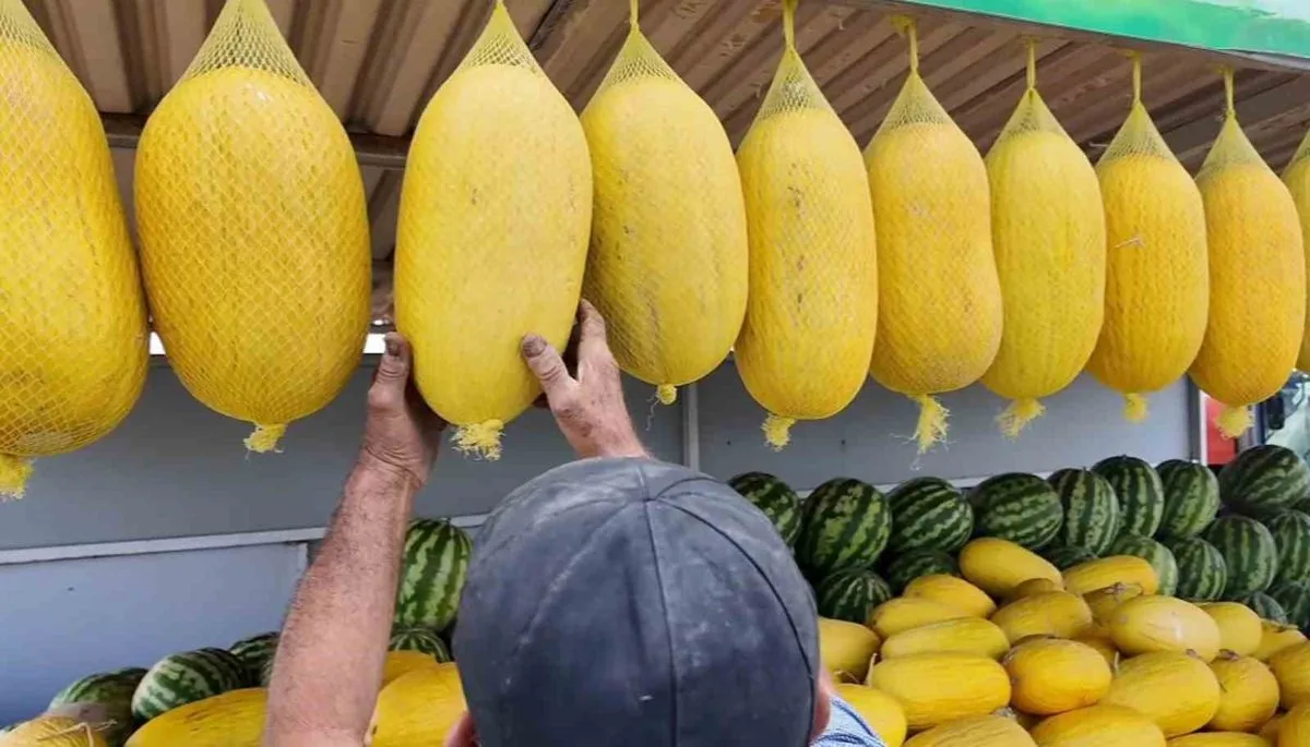Çorlu Seymen Kavunu Neden Bu Kadar Özel?
