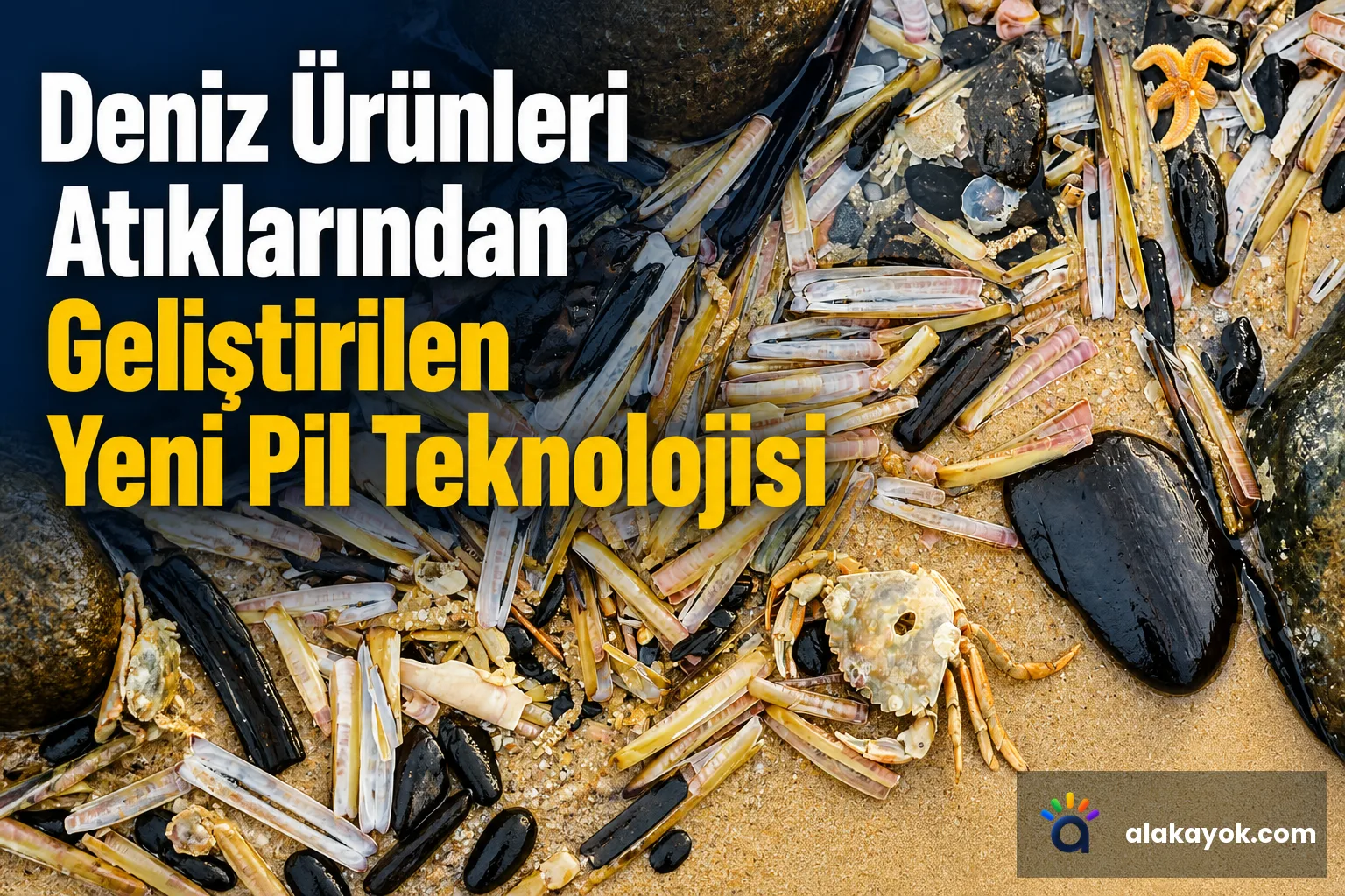 Deniz Ürünleri Atıklarından Geliştirilen Yeni Pil Teknolojisi
