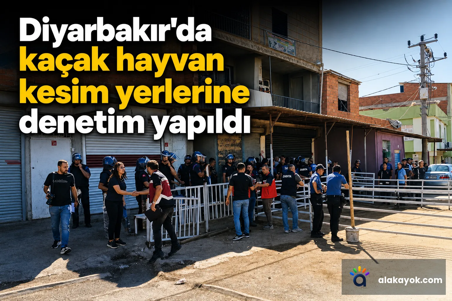 Diyarbakır'da kaçak hayvan kesim yerlerine denetim yapıldı