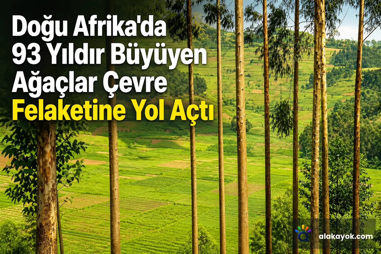 Doğu Afrika'da 93 Yıldır Büyüyen Ağaçlar Çevre Felaketine Yol Açtı