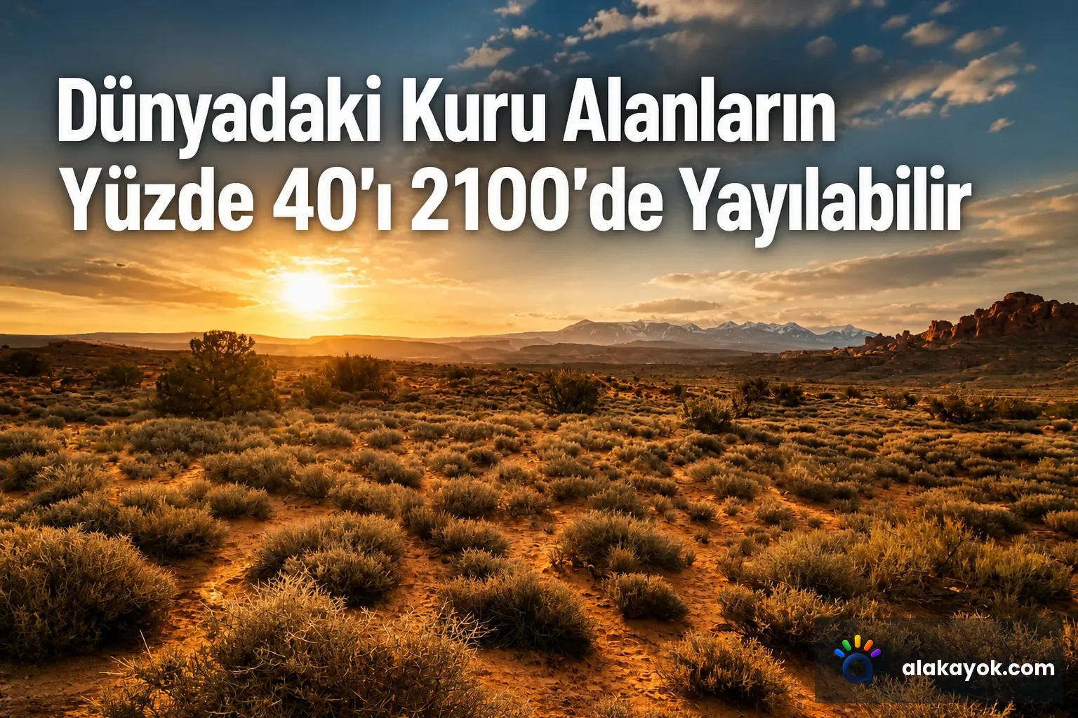 Dünyadaki Kuru Alanların Yüzde 40'ı 2100'de Yayılabilir