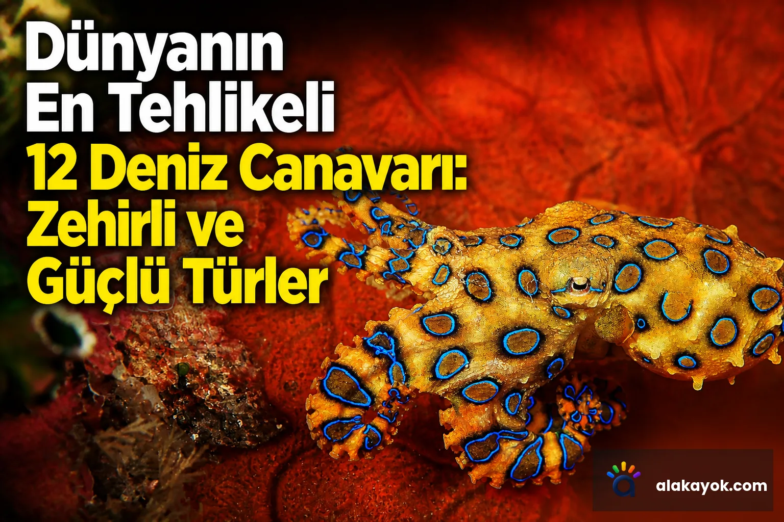 Dünyanın En Tehlikeli 12 Deniz Canavarı: Zehirli ve Güçlü Türler