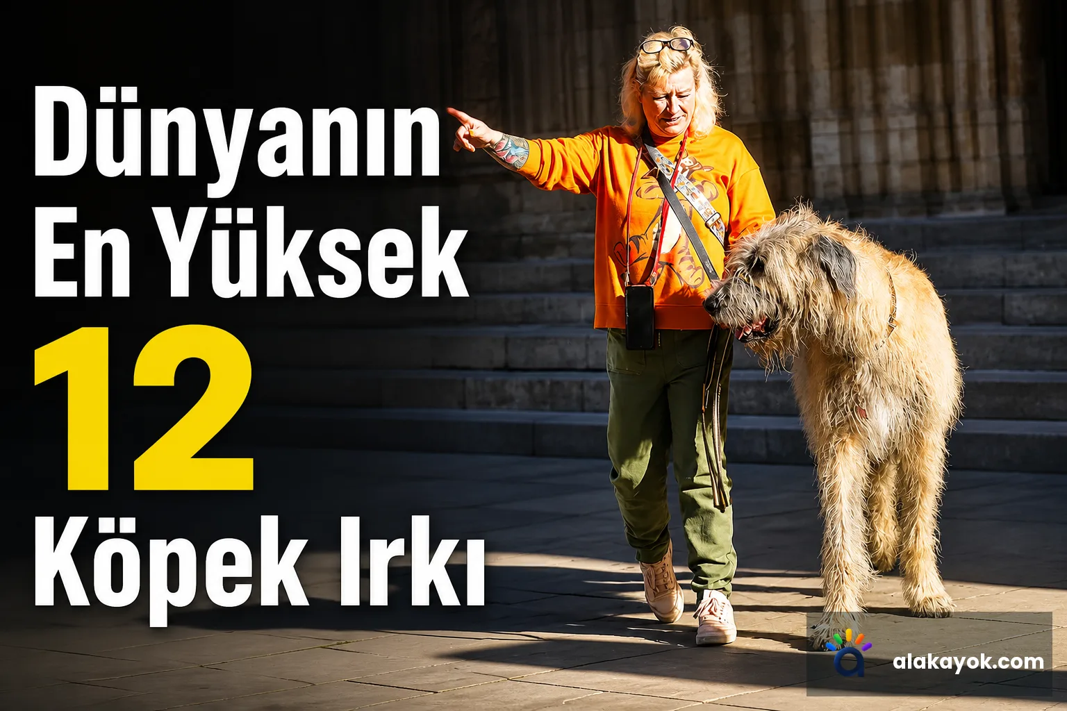 Dünyanın En Yüksek 12 Köpek Irkı